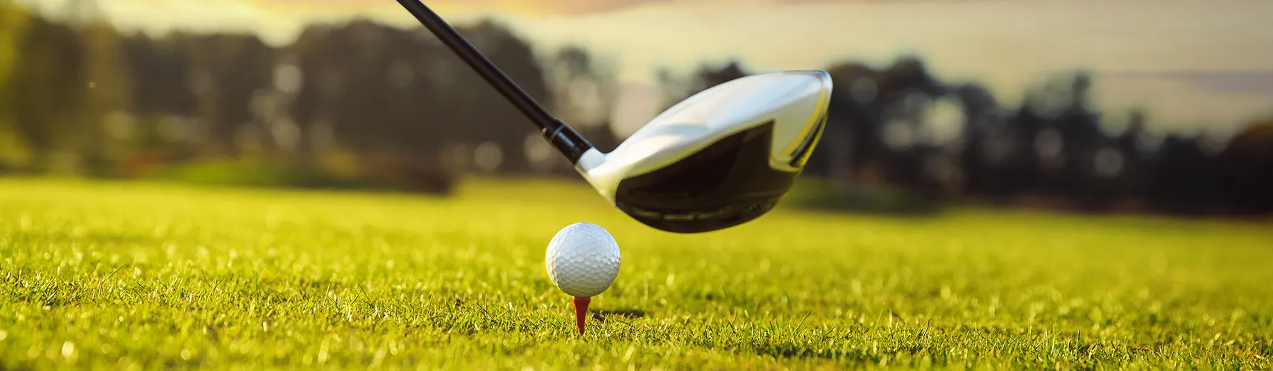 Golf Store -Golf Store 2